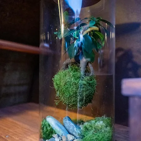 Le Nautilus Appartement *